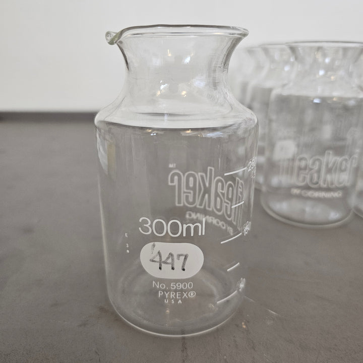 300ml Fleaker Beaker by Corning