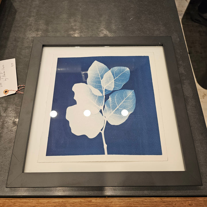 Framed 16x16 Cyanotypes by Mariano Chavez