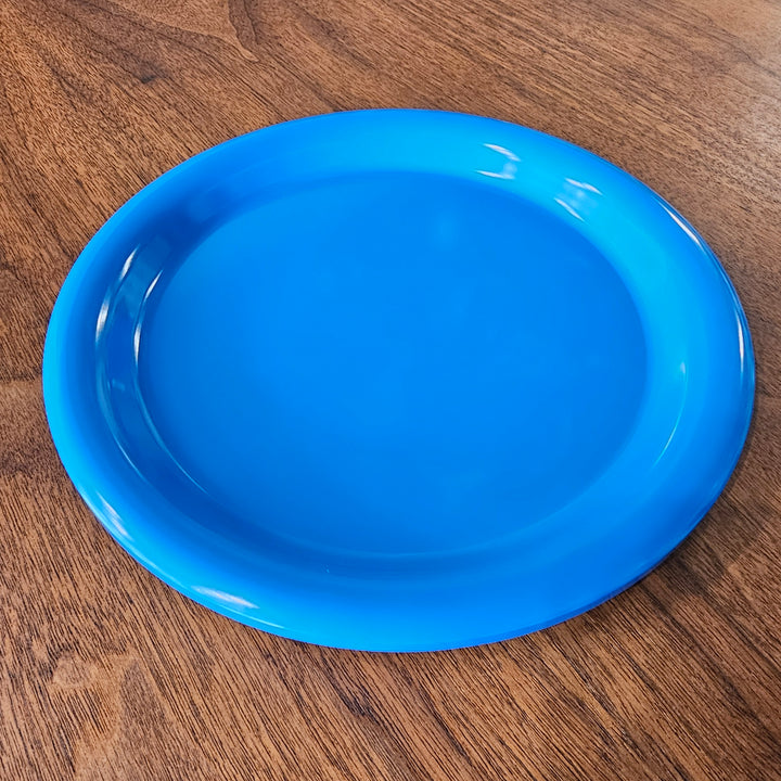 Vintage Ingrid LTD Melamine Dinner Plates