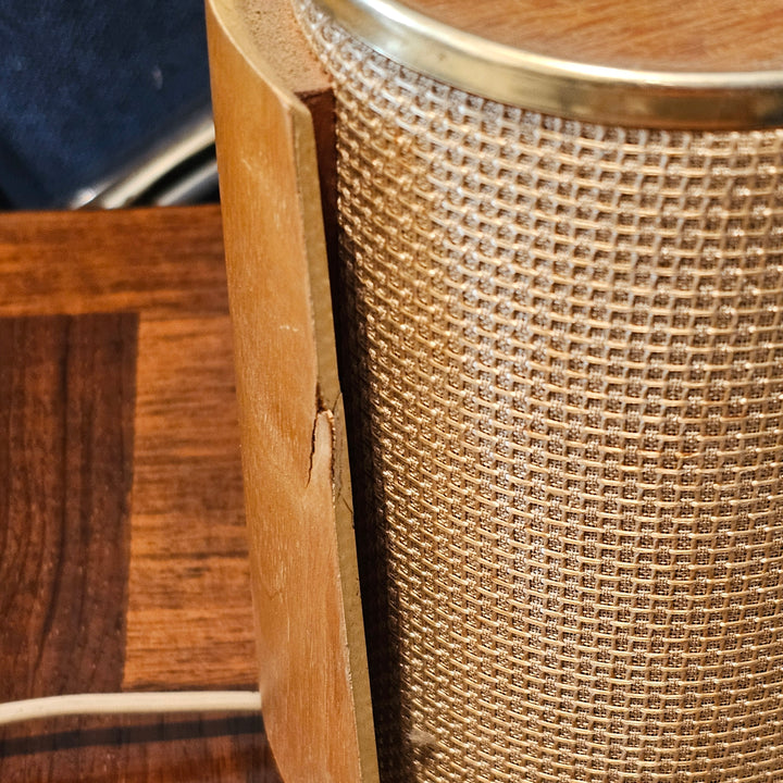 Pair of Telefunken Allvox Strahler RS1 Speakers